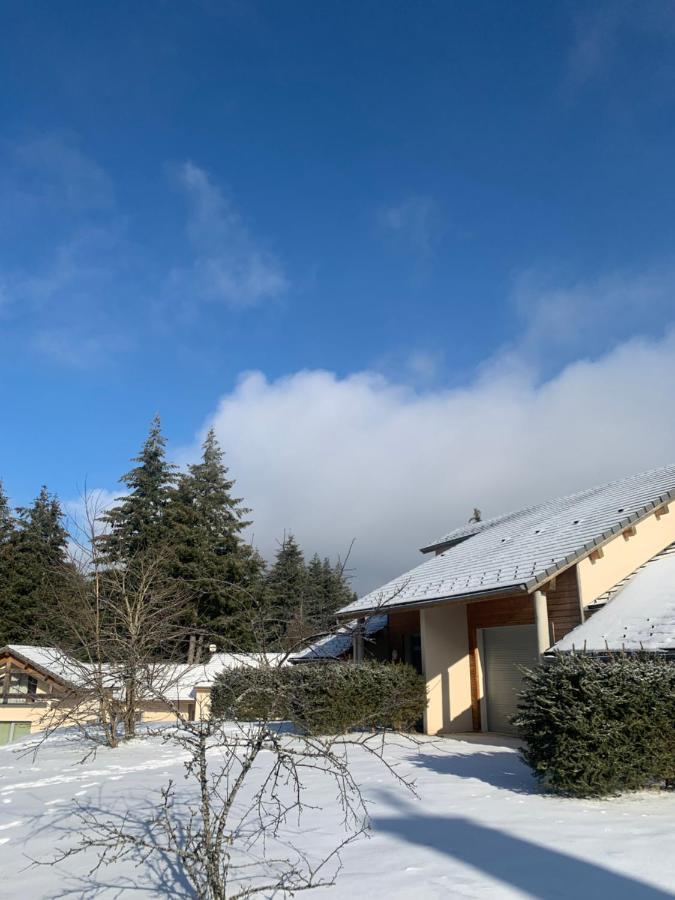 "Les Oiseaux" Avec Terrasse, Parking, Duplex Διαμέρισμα Le Chambon-sur-Lignon Εξωτερικό φωτογραφία