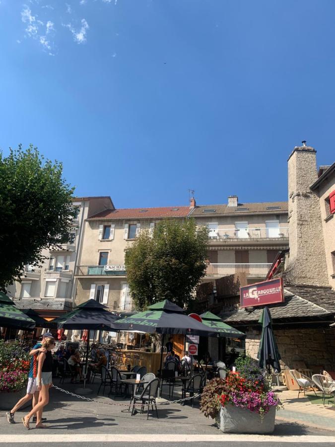 "Les Oiseaux" Avec Terrasse, Parking, Duplex Διαμέρισμα Le Chambon-sur-Lignon Εξωτερικό φωτογραφία