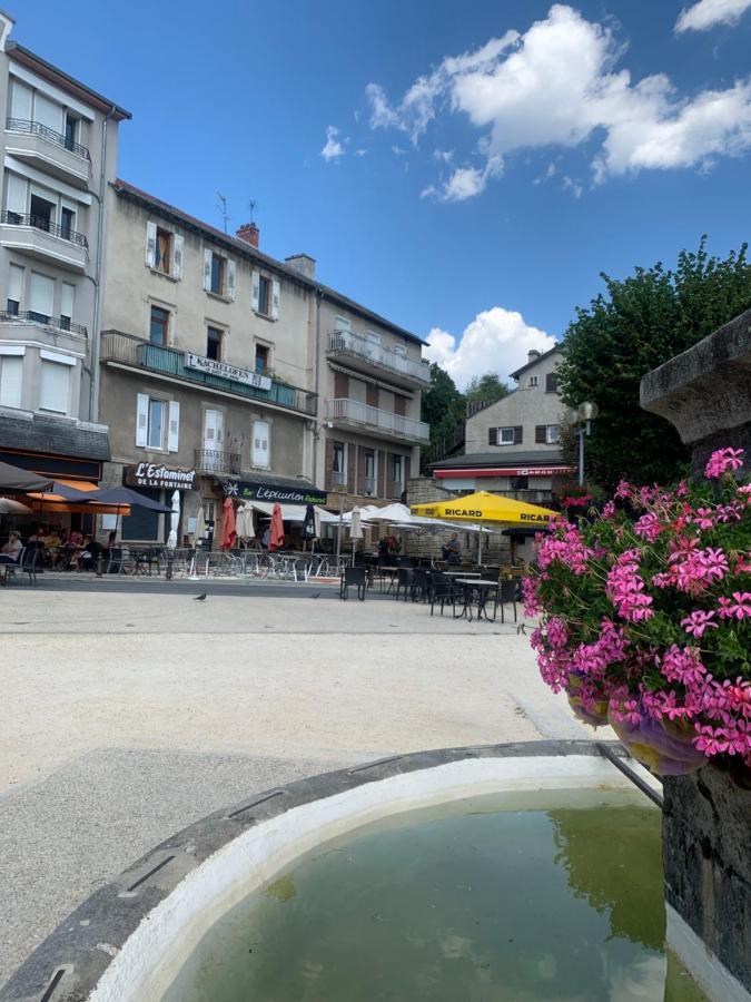 "Les Oiseaux" Avec Terrasse, Parking, Duplex Διαμέρισμα Le Chambon-sur-Lignon Εξωτερικό φωτογραφία